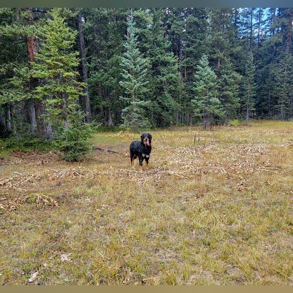 I'M LIVE! - Picture 3 of 9